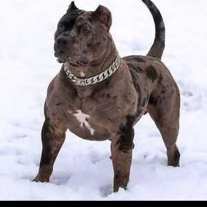 Meet your Posher, Sinai